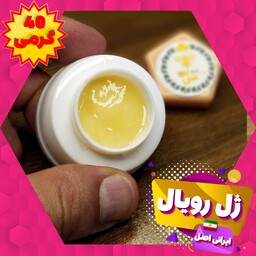 ژل رویال اصل ایرانی(40 گرمی)با تضمین کیفیت(با برگه آزمایش)-خالص بدون مواد افزودنی-غذای سلطنتی ملکه زنبور عسل- غرفه سی بن