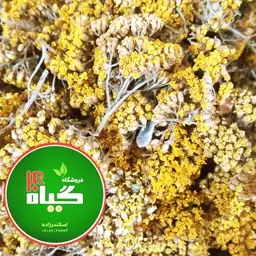 گیاه بومادران ،تازه امسالی 250 گرمی 