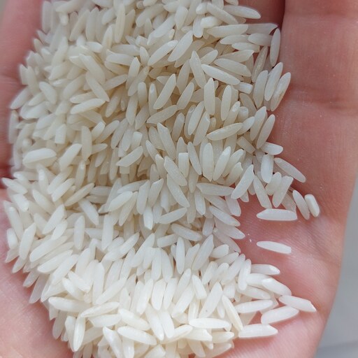 برنج طارم هاشمی.10 کیلویی