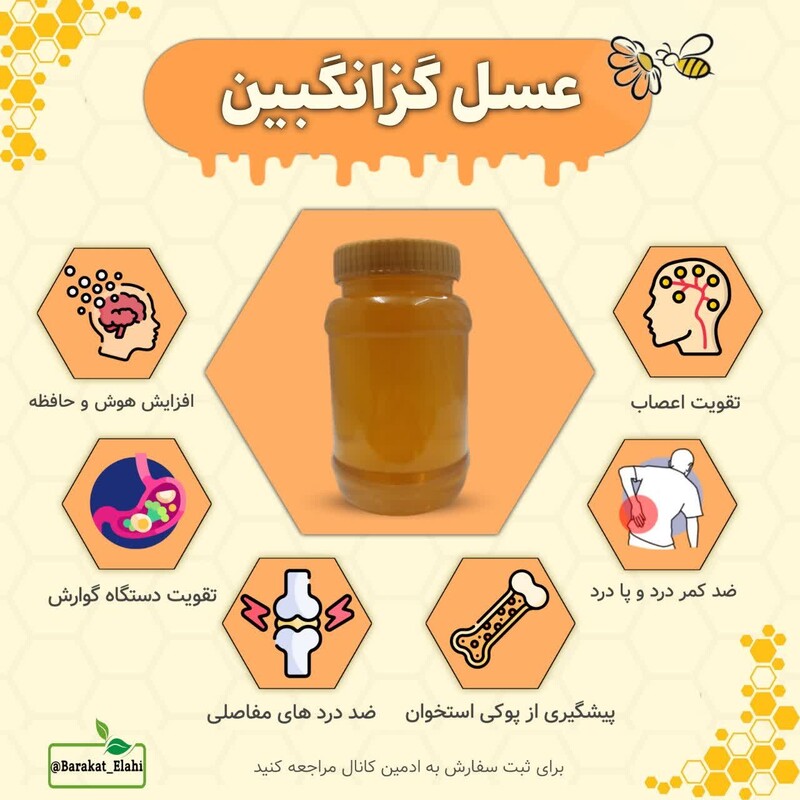 عسل طبیعی گزانگبین (یک کیلویی خالص)