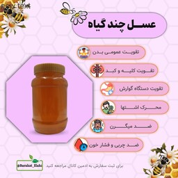 عسل طبیعی چند گیاه مخصوص (یک کیلویی خالص)