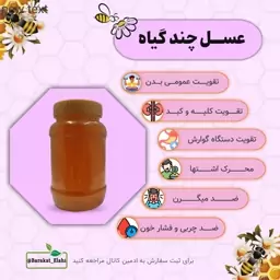 عسل طبیعی چند گیاه مخصوص (یک کیلویی خالص)