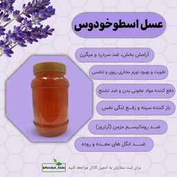 عسل طبیعی اسطوخودوس (یک کیلویی خالص)