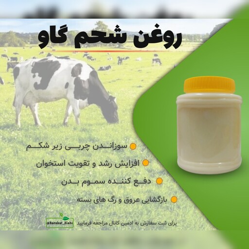 روغن شحم گاوی (900 گرمی با ظرف)