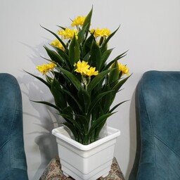 هدیه روز معلم گل مصنوعی مینا 27 گل زرد گلدان سفید 45 سانت  ( فروشگاه کاج ) 