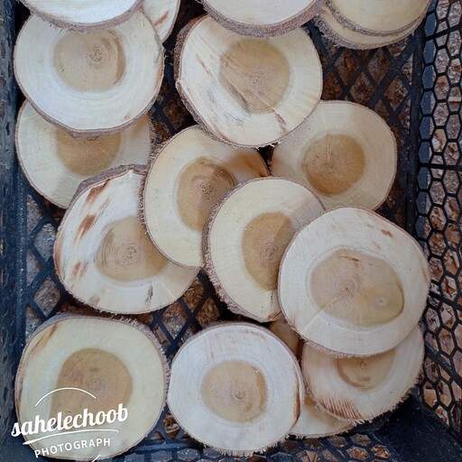 اسلایس برش کالباسی چوب  تنه درخت  قطر حدودی 8 تا 9سانت و ضخامت 9 میلی متر تولیدی ساحل چوب
