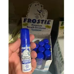 اسپری خوشبو کننده دهان و دندان فروستی مدل نعناع خنک حجم 20 میلی لیتر Frostie 