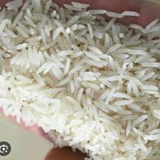برنج محلی فجر سوزنی درجه یک از  شالیزارهای شهرستان علی آبادکتول