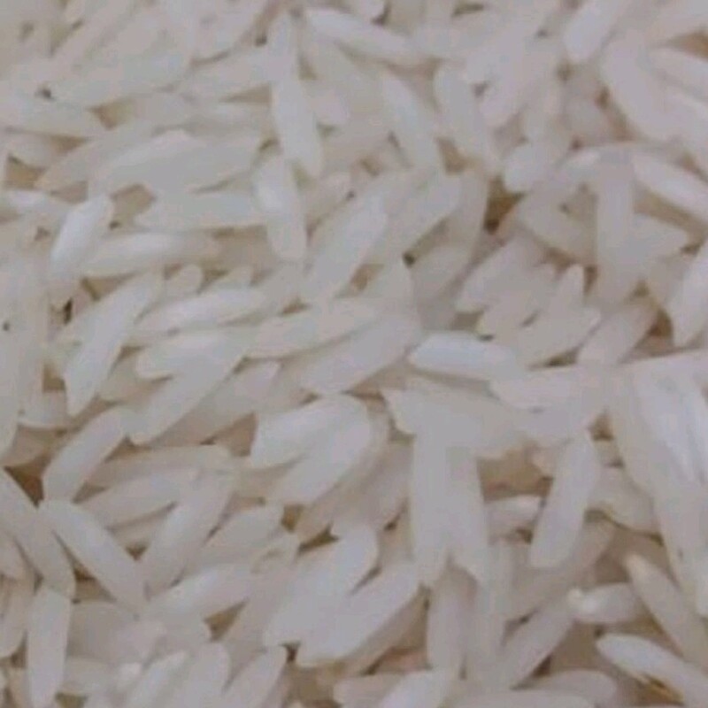 برنج ایرانی شیرودی 