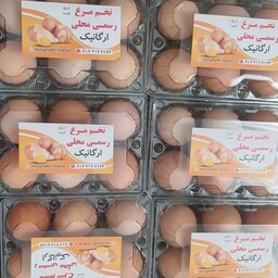تخم مرغ محلی ارگانیک بسته بندی 6عددی و 