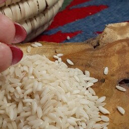 برنج عنبر بو  500 کیلویی (عمده)  ،، کیلویی 55 هزار تومان، خرید از کارخانه 