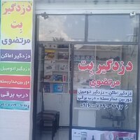 دزدگیر بت مرتضوی