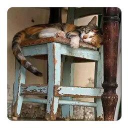 مگنت طرح گربه خوابیده و صندلی چوبی کد wmg4125