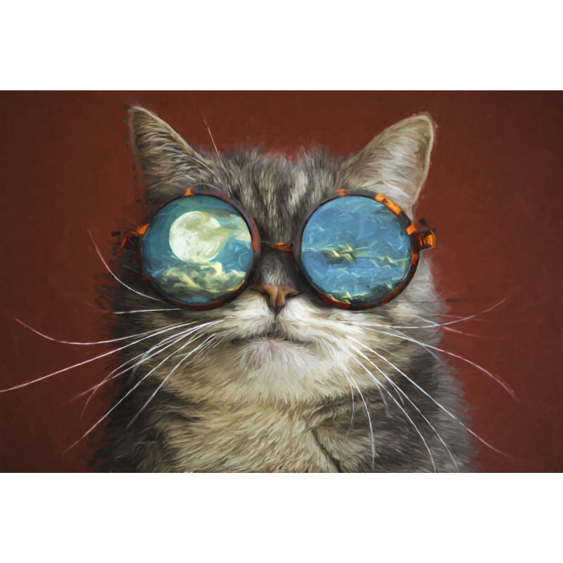 تابلو شاسی طرح فانتزی گربه عینک آسمان ابر ماه کد 12