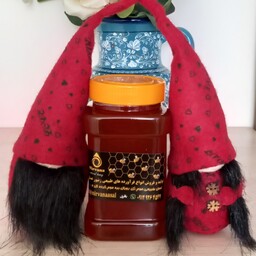 عسل یونجه و خارشتر یک کیلویی (خرید مستقیم از زنبوردار)