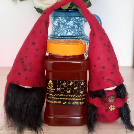 عسل یونجه و خارشتر یک کیلویی (خرید مستقیم از زنبوردار)