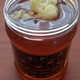 معجون عسل و ژل رویال (نیم کیلو عسل به علاوه 20 گرم ژل رویال و 50 گرم گرده گل)