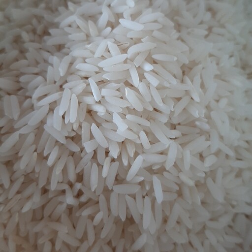 برنج هاشمی اصل  آستانه اشرفیه درجه 1  ( محصول 1402 ) 