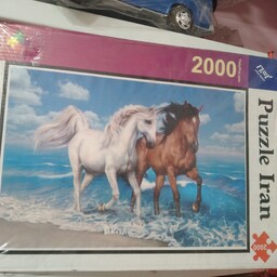 پازل 2000 تکه مدل اسب و ساحل 