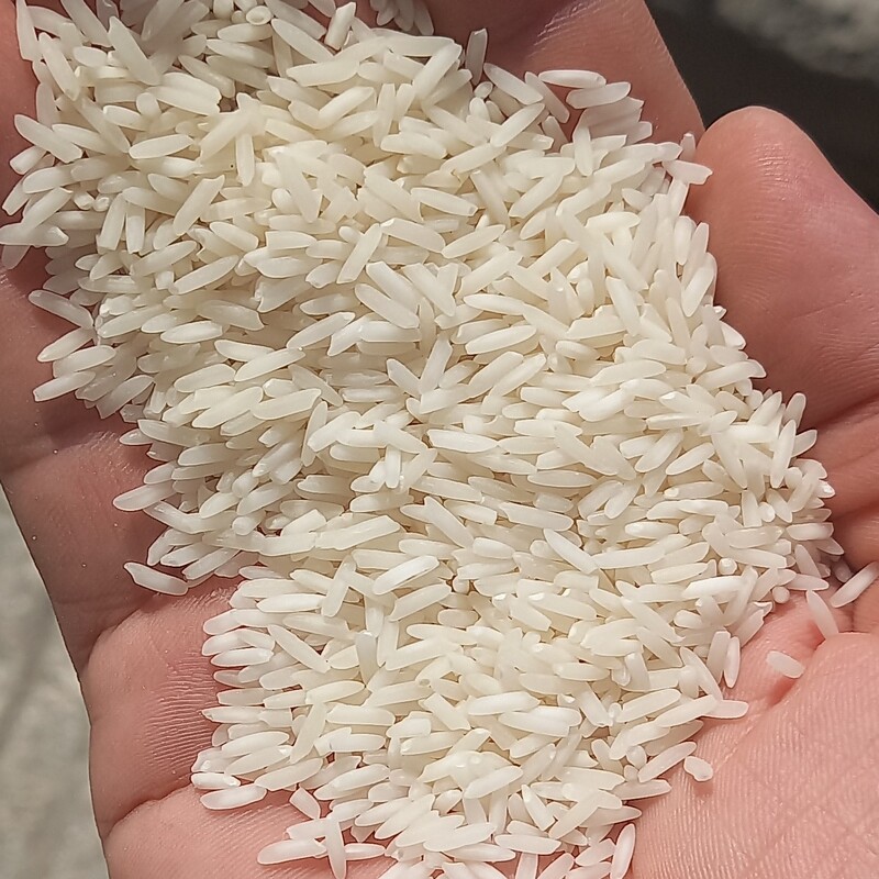 برنج پرمحصول شیرودی درجه یک دربسته های 10کیلویی 
