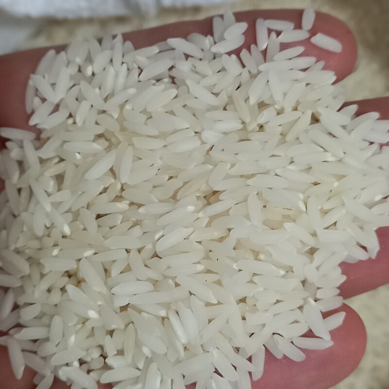 برنج معطر هاشمی اعلا (ده کیلویی)