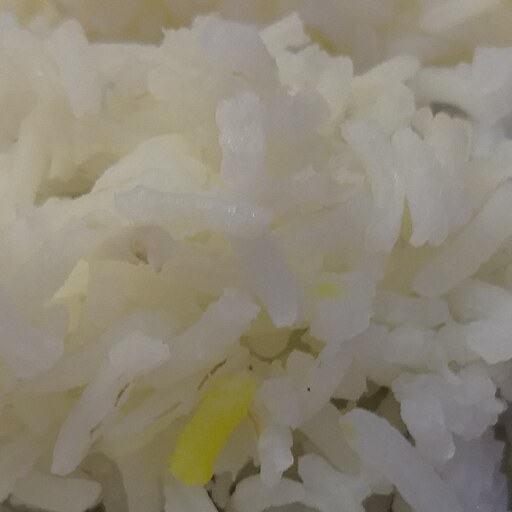 برنج دم سیاه 10 کیلویی ارسال رایگان معطر آستانه اشرفیه