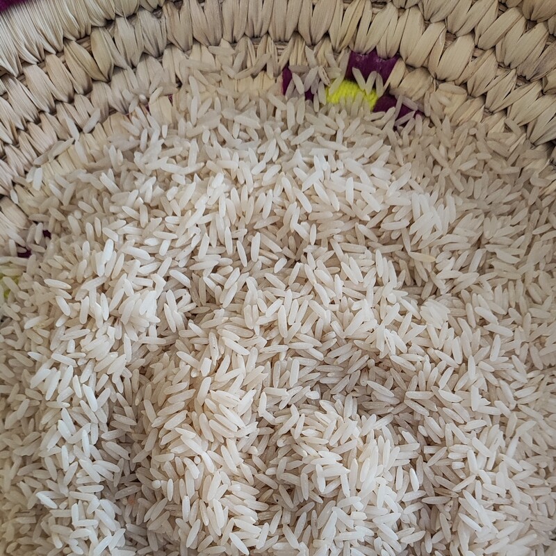 برنج شیرودی (2کیلویی) پاک شده  یکدست بدون نیمه و شکسته