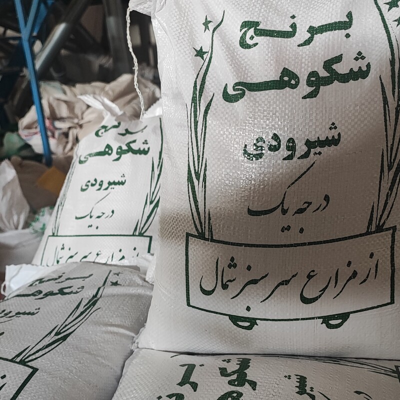 برنج ایرانی شیرودی (10 کیلویی) خوش پخت، سورت و بوجاری شده، مستقیم از کشاورز، ارسال رایگان