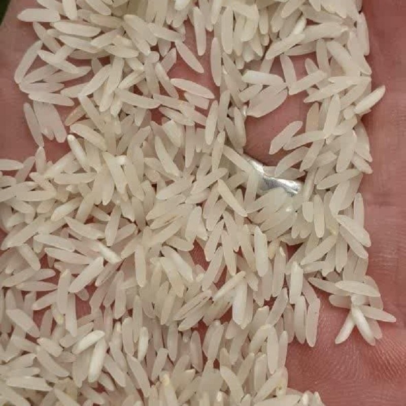 برنج فجر (10 کیلوئی) خوش عطر صداقت