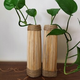 گلدان چوبی کوچک مناسب ریشه کردن گیاهان زینتی و آپارتمانی مثل پتوس( داخل گلدان شیشه است)