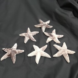ستاره دریایی سنگی