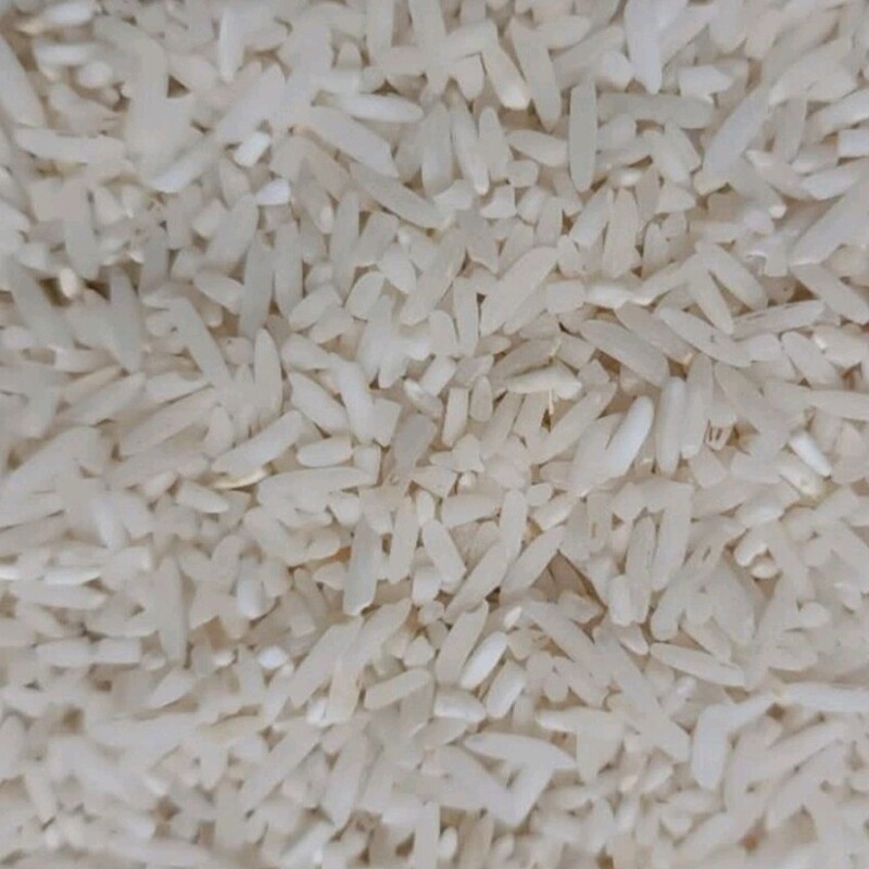 برنج سرلاشه طارم محلی فریدونکنار بسیار معطر و خوشپخت