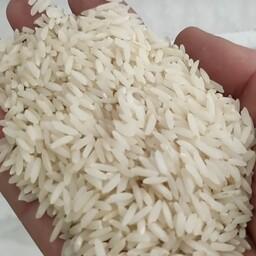 برنج طارم محلی فریدونکنار کشت اول بسیار خوش پخت و معطر
