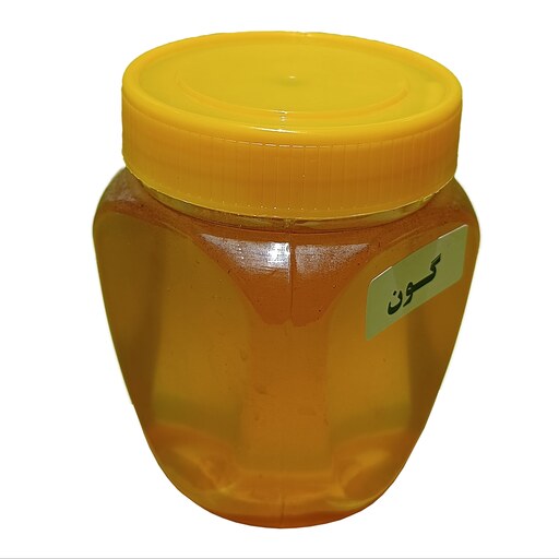 عسل طبیعی گون فدک (500گرم) 