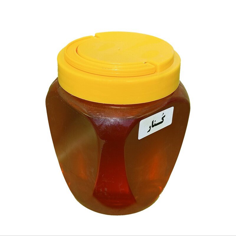 عسل کنار ممتاز فدک (500 گرم با بسته بندی)