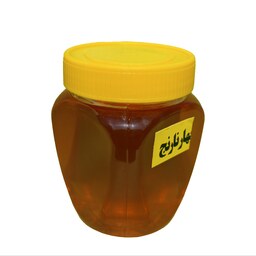 عسل بهارنارنج ممتاز فدک (500 گرم)