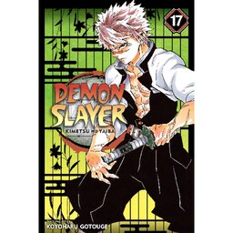 کتاب مانگا شیطان کش جلد 17 -  Demon Slayer 