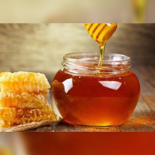 عسل کنار عسلی بسیار خوش طعم مال منطقه بوشهر در بسته بندی بالای نیم کیلو         