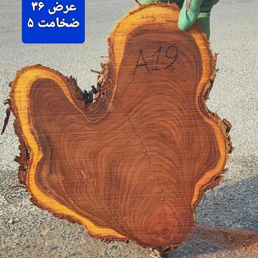 چوب اسلایس کهور