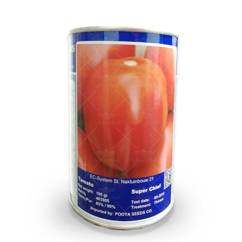 بذر گوجه سوپرچف بیکر هلند
10 گرم حداقل 3 هزار بذر