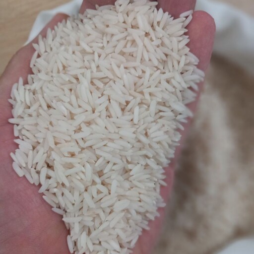 برنج هاشمی درجه 1 معطر  آستانه اشرفیه(10 کیلوگرمی)
