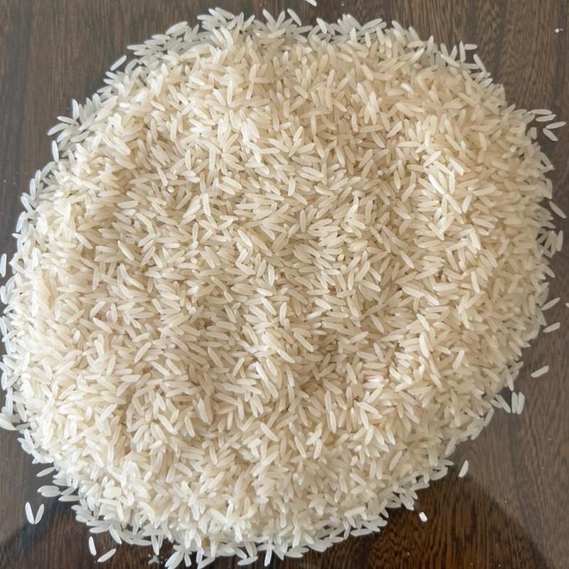 برنج فجر سوزنی استان گلستان