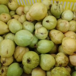 میوه گواوا تازه و خوش عطر ارسال به سراسر ایران با اتوبوس پسکرایه