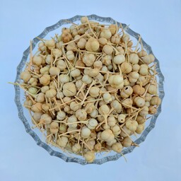  اسپند نخودی دانه درشت و کم چوب درجه یک ( 5 کیلویی) شیراز گل 