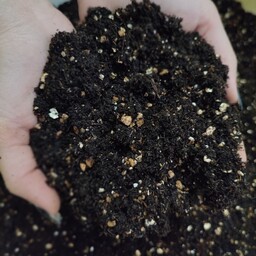 خاک مخصوص وارداتی GOLDEN SOIL-ترکیبی موثر از پیتماس سیاه آلمانی و ورمی کولیت-بسیار کاربردی و مغذی