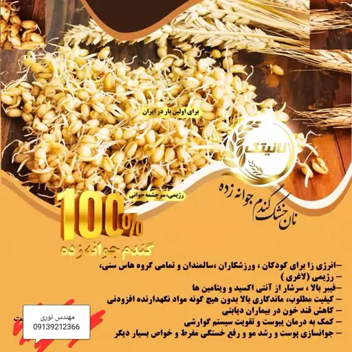 نان خشک صددرصد جوانه گندم درطعمهای مختلف کنجدی زیره سبزیجات شویدی چیپس فلفلی ساده.تولید این نان 6روز زمان میبرد 