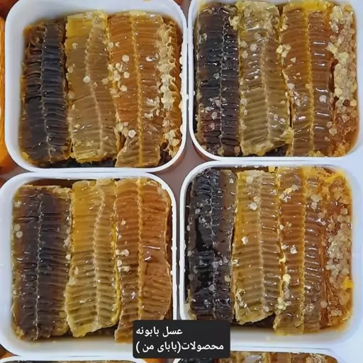 عسل طبیعی بابونه                                     