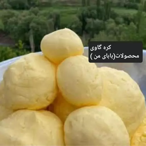 کره طبیعی گاوی                                     