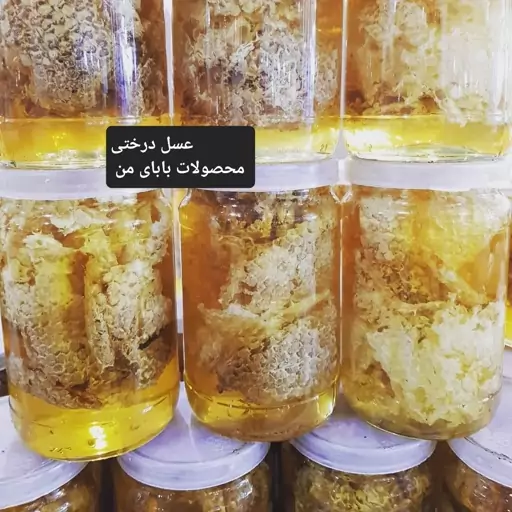 عسل وحشی درختی                                    