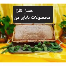 عسل (عسل طبیعی کلزا)                               